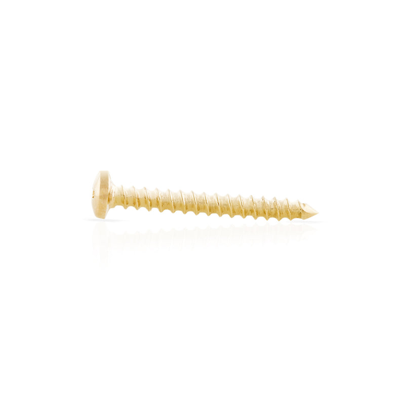 Solid Screw Earring