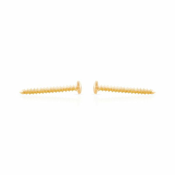 Solid Screw Earring