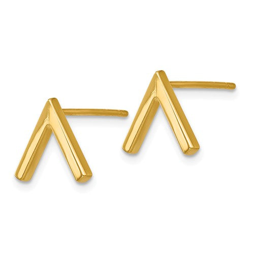 Gold Tip Earrings